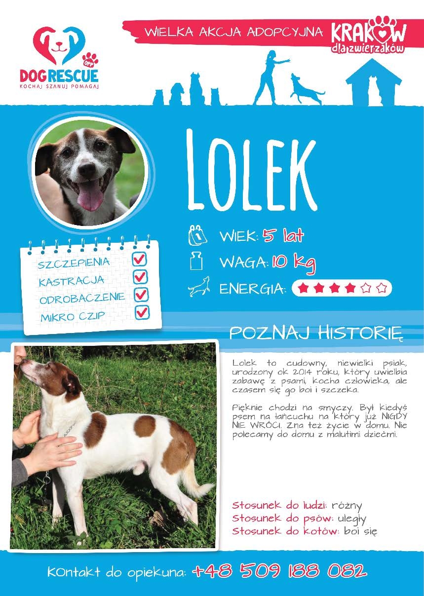 Lolek