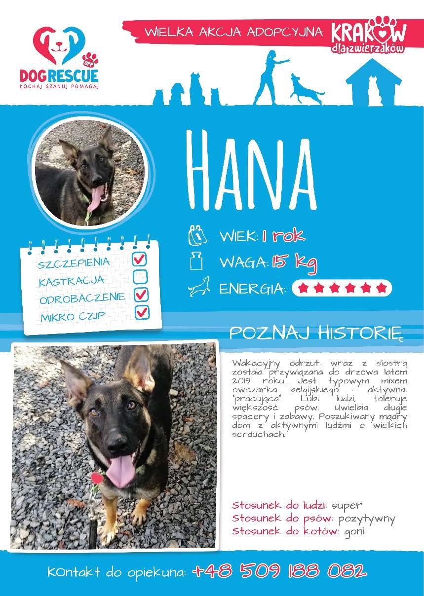 Hana