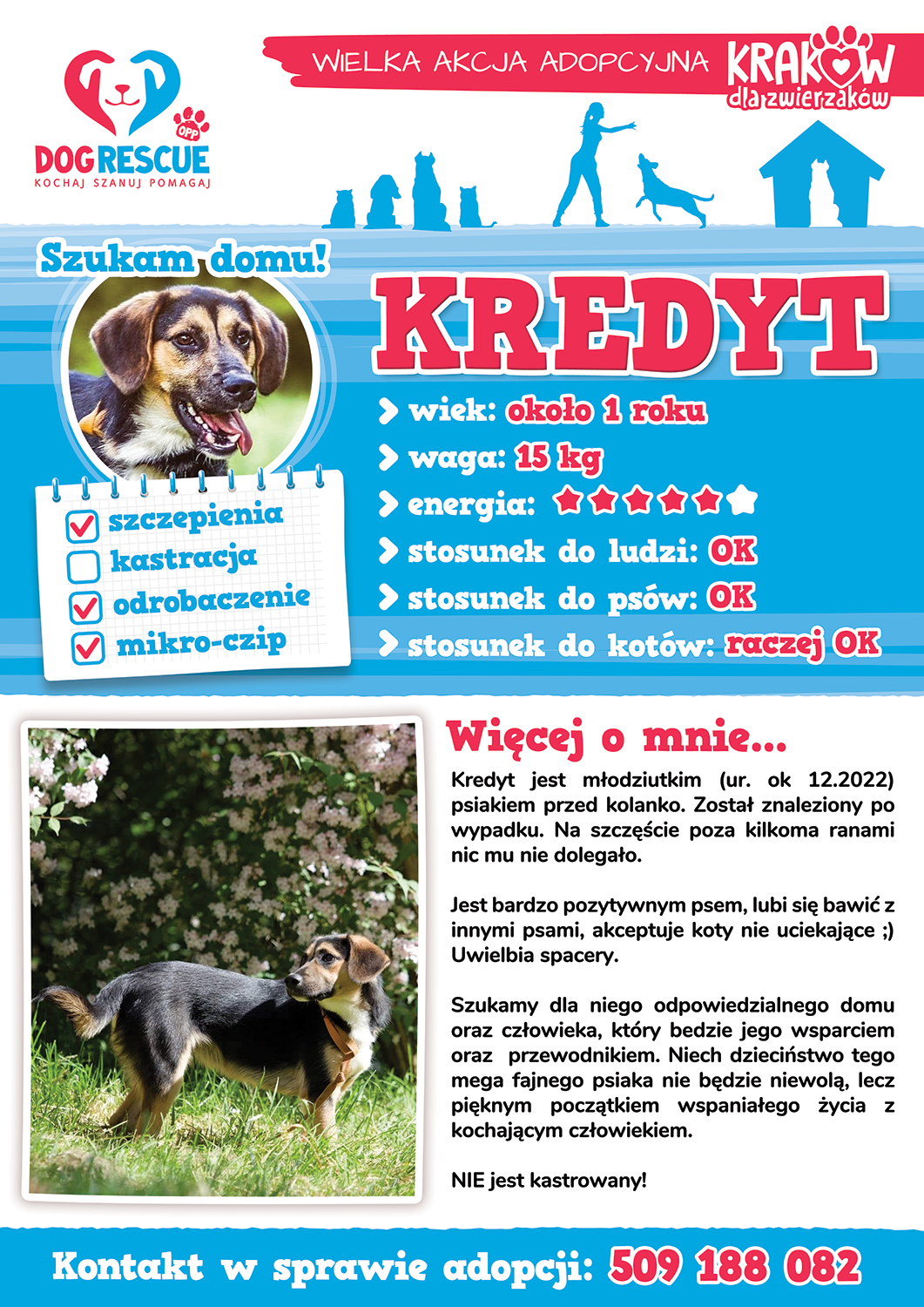 kredyt