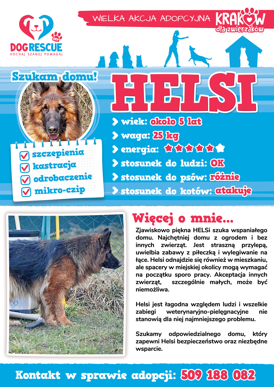 helsi