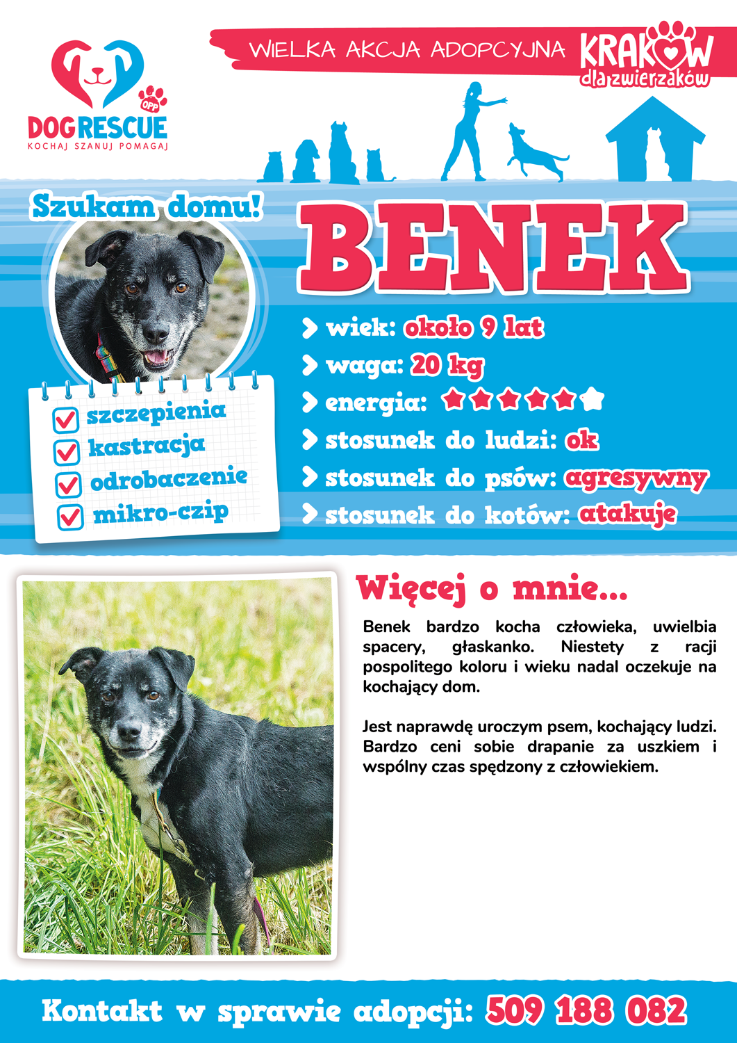 benek