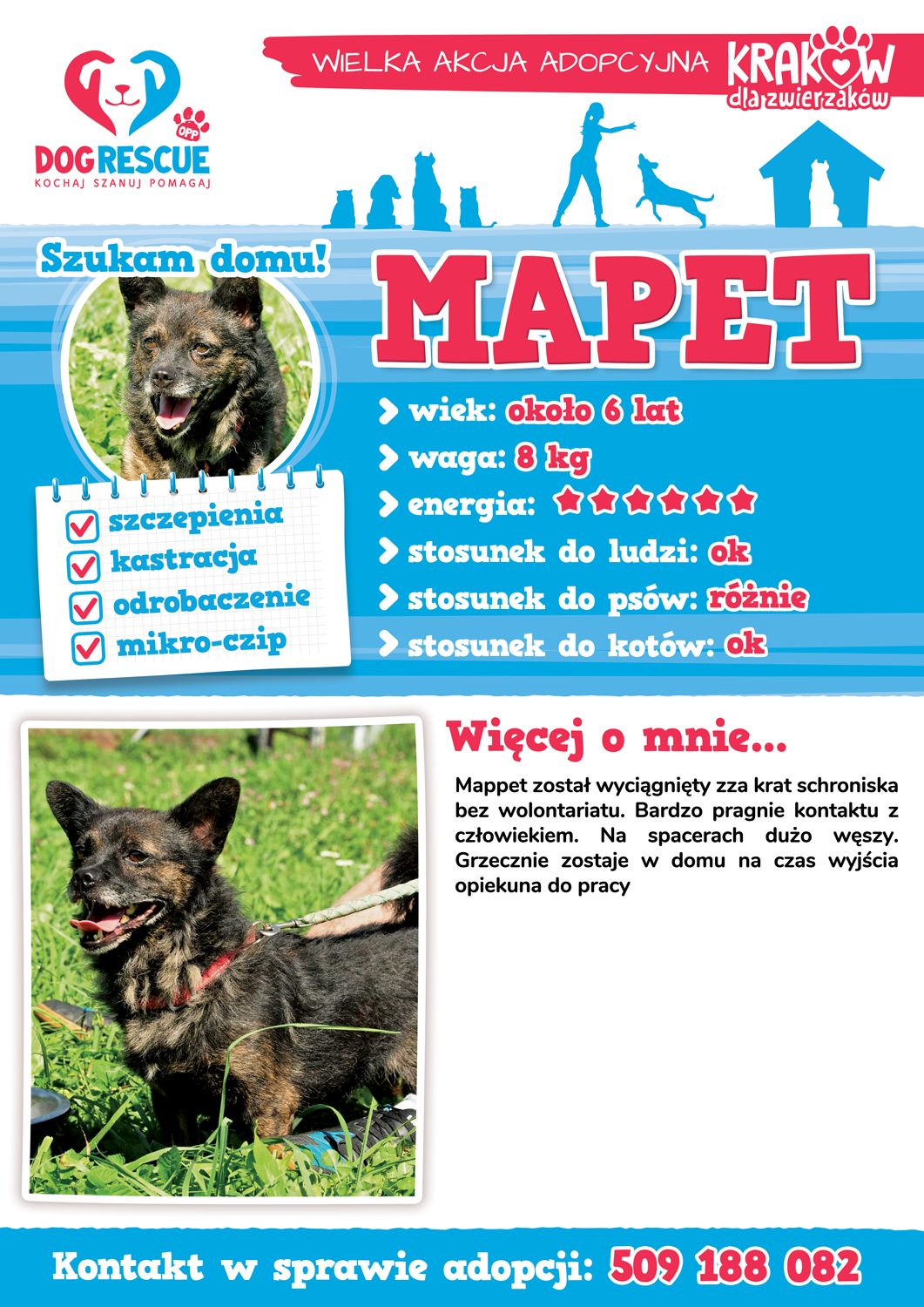 mapet