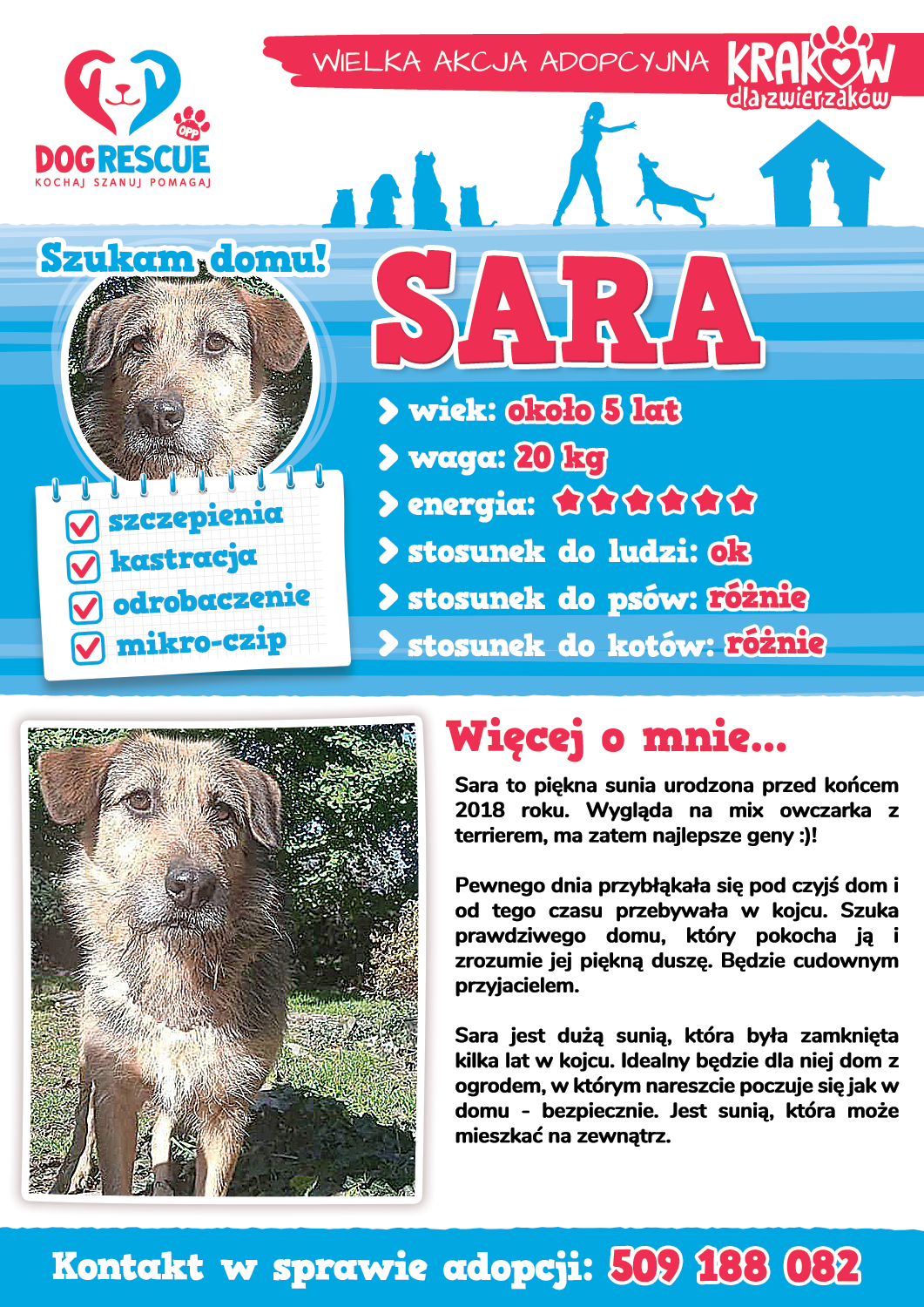 sara