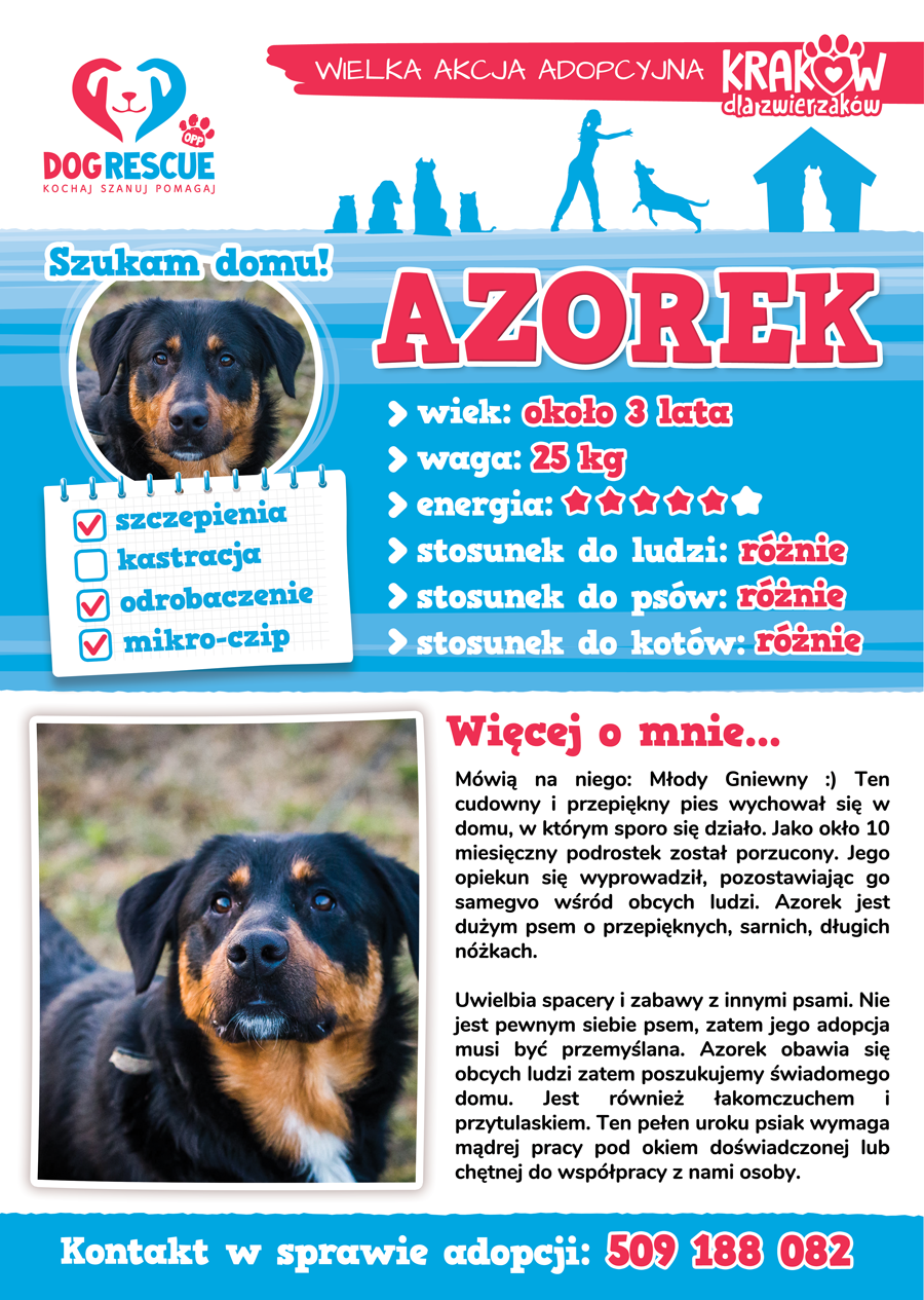 azorek