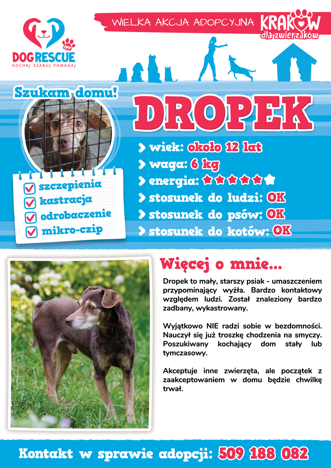 dropek