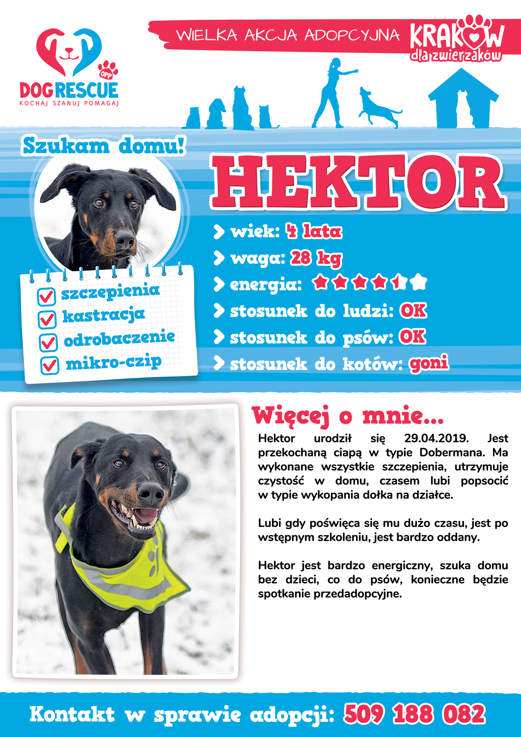 hektor2