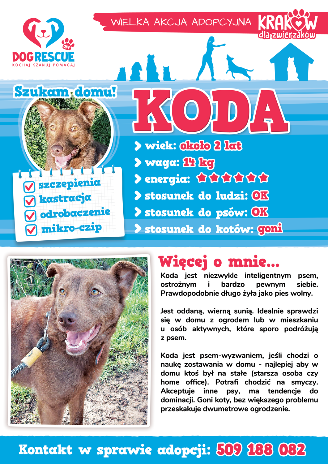 koda