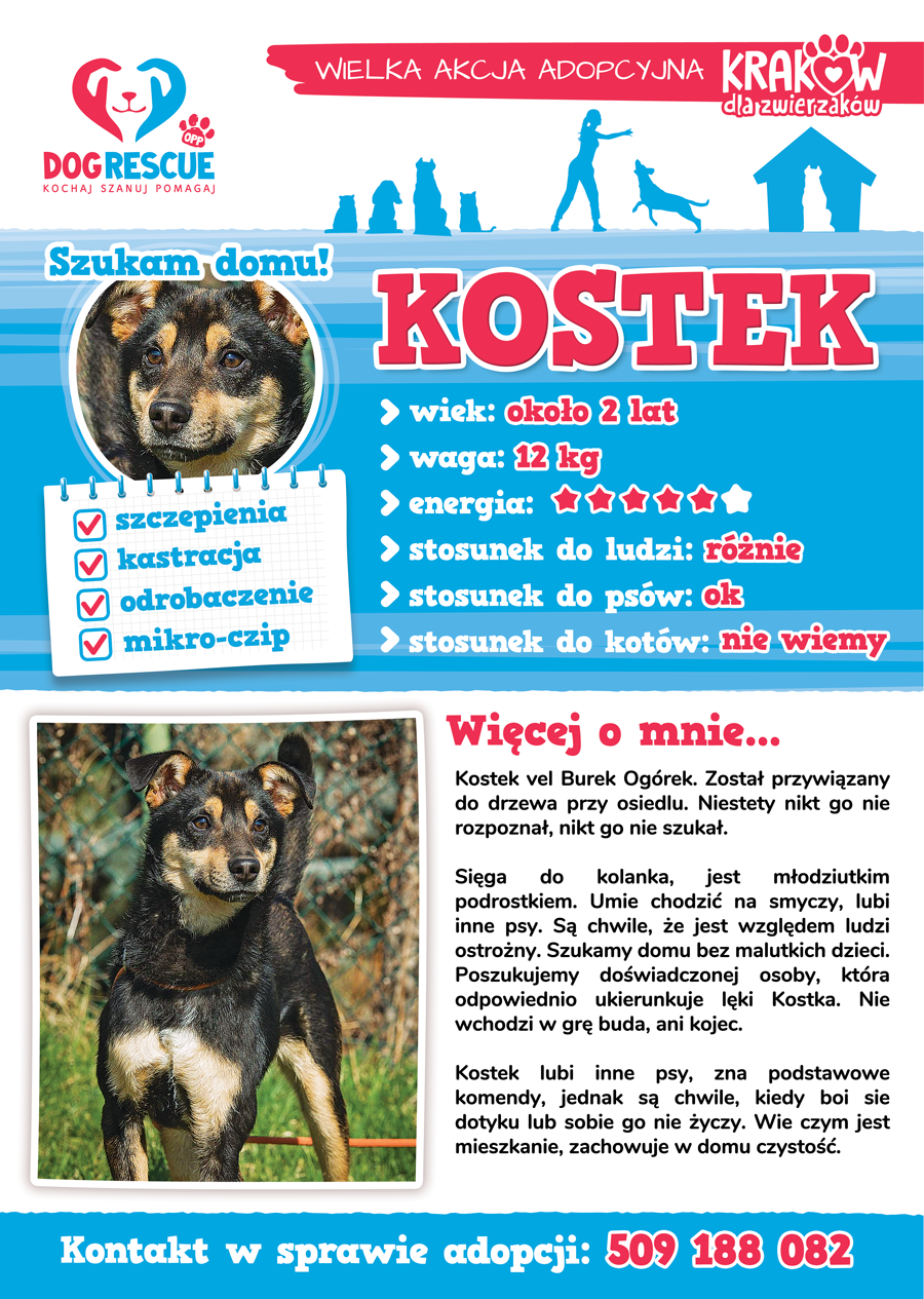 kostek