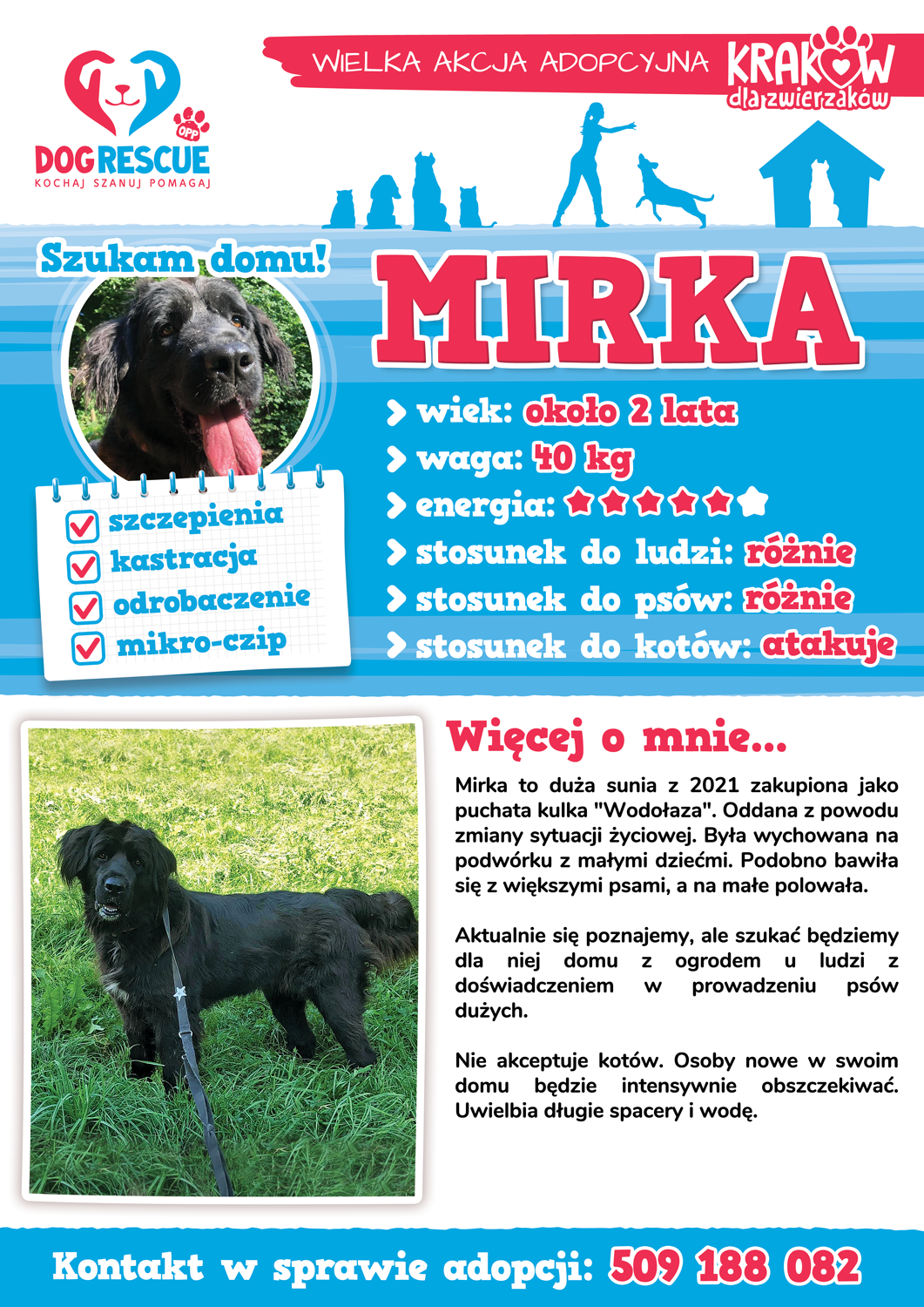 mirka