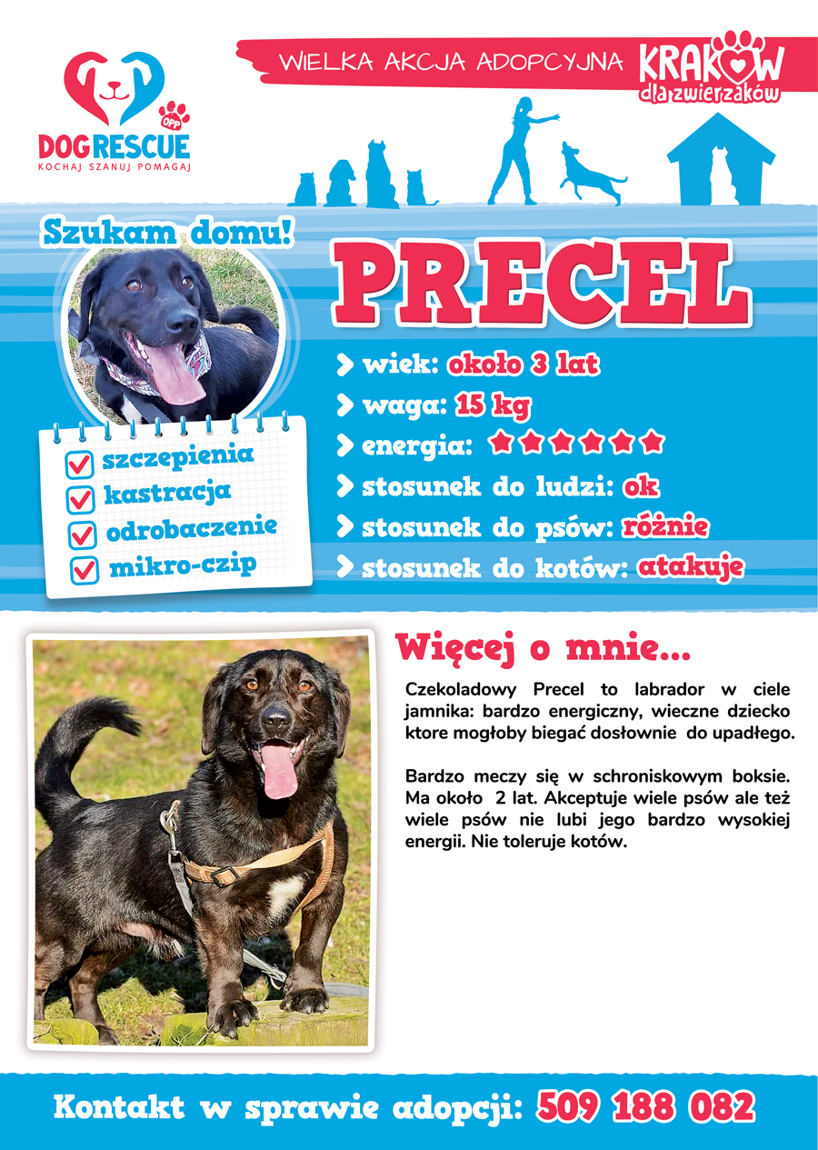precel