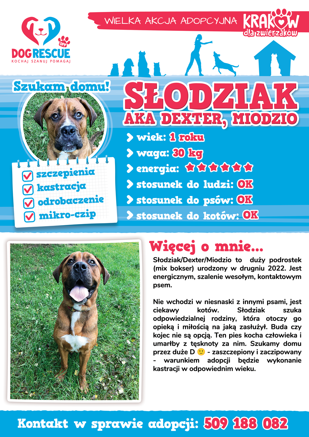 slodziak
