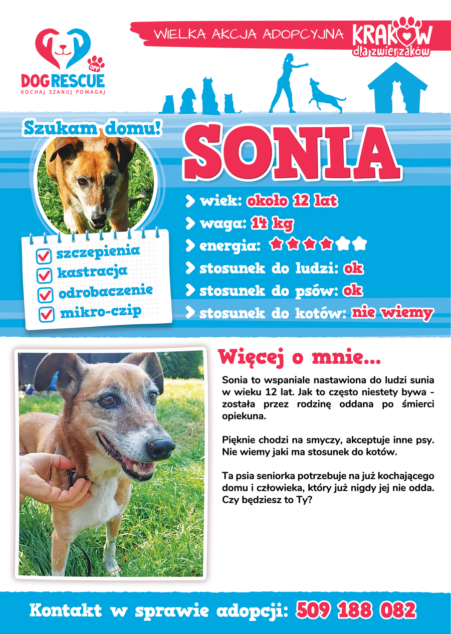 sonia2