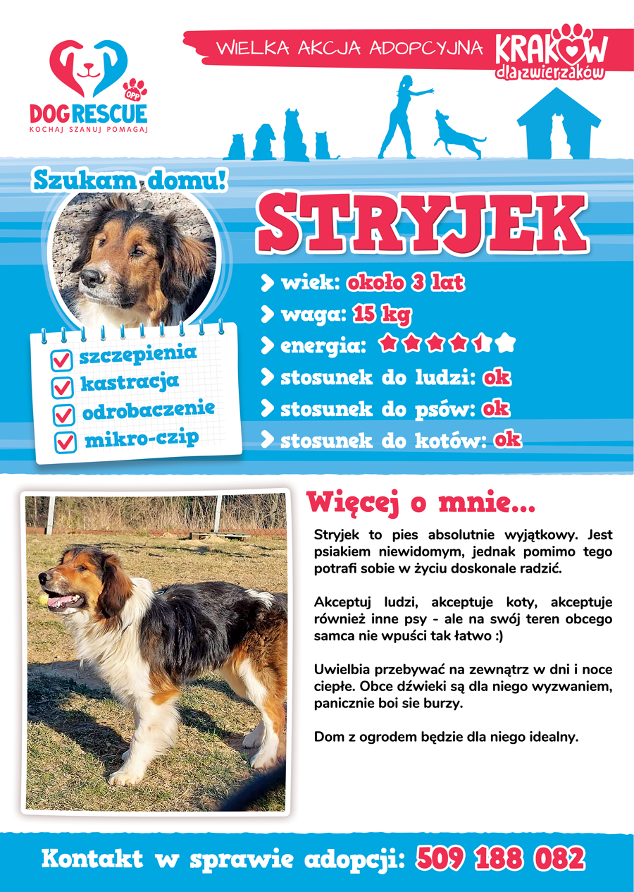 stryjek