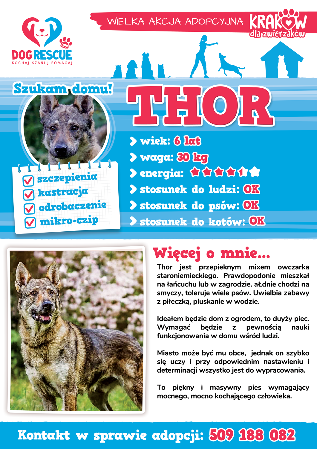 thor
