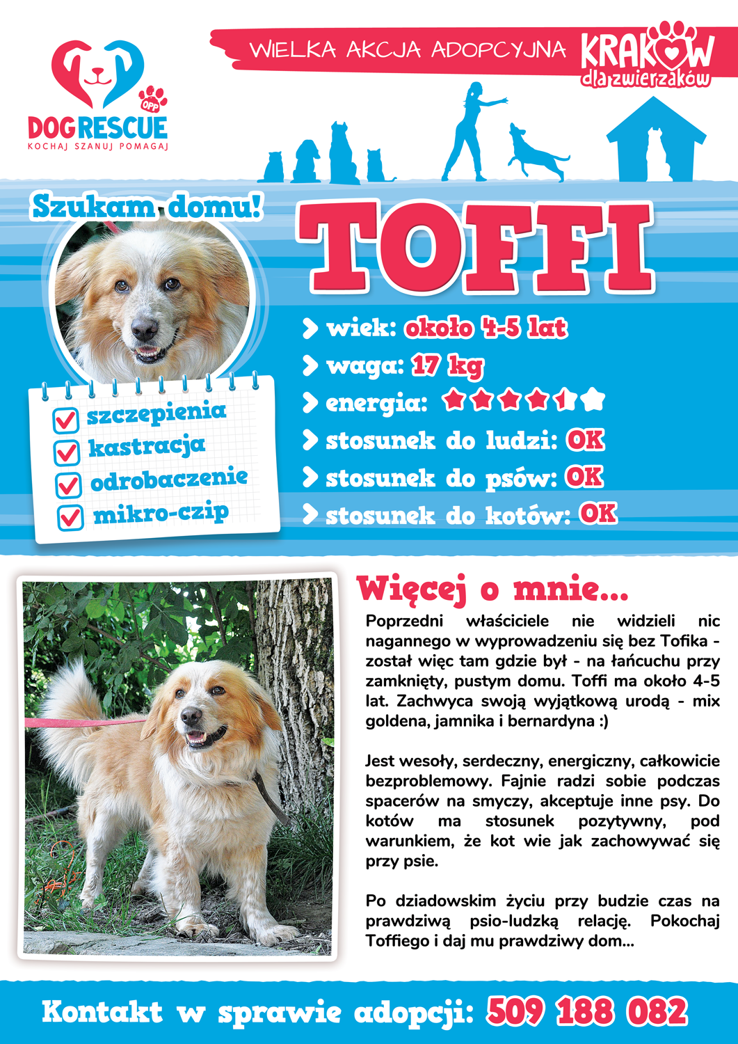 toffi