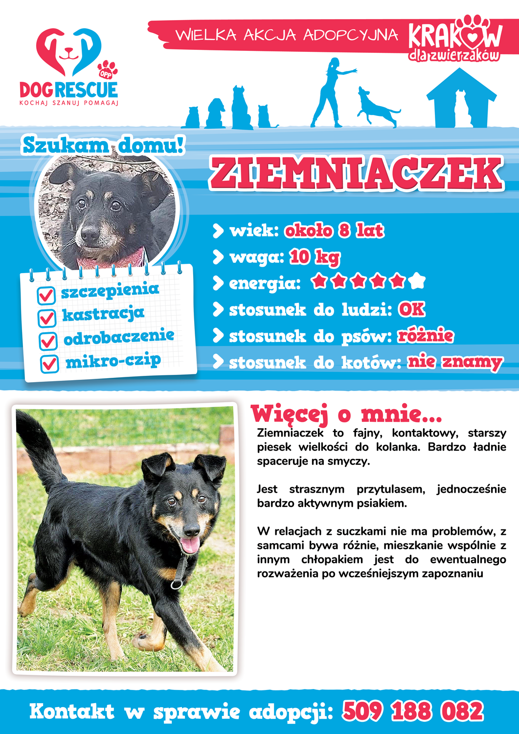 ziemniaczek
