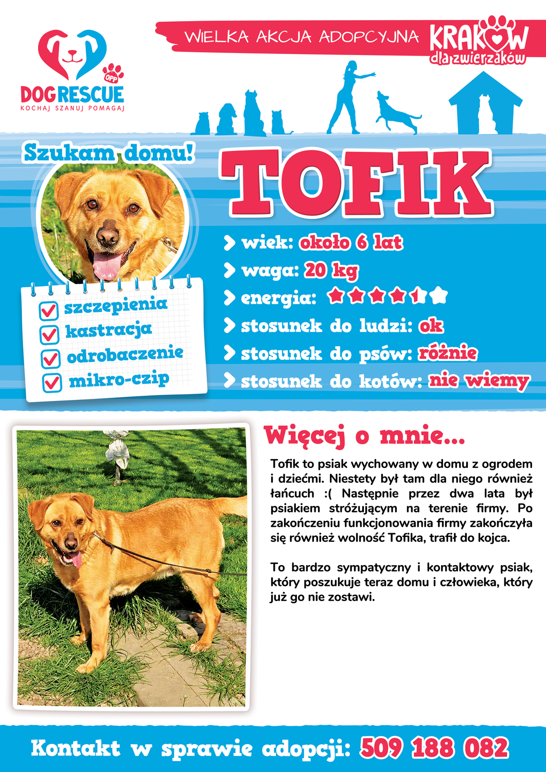 tofik