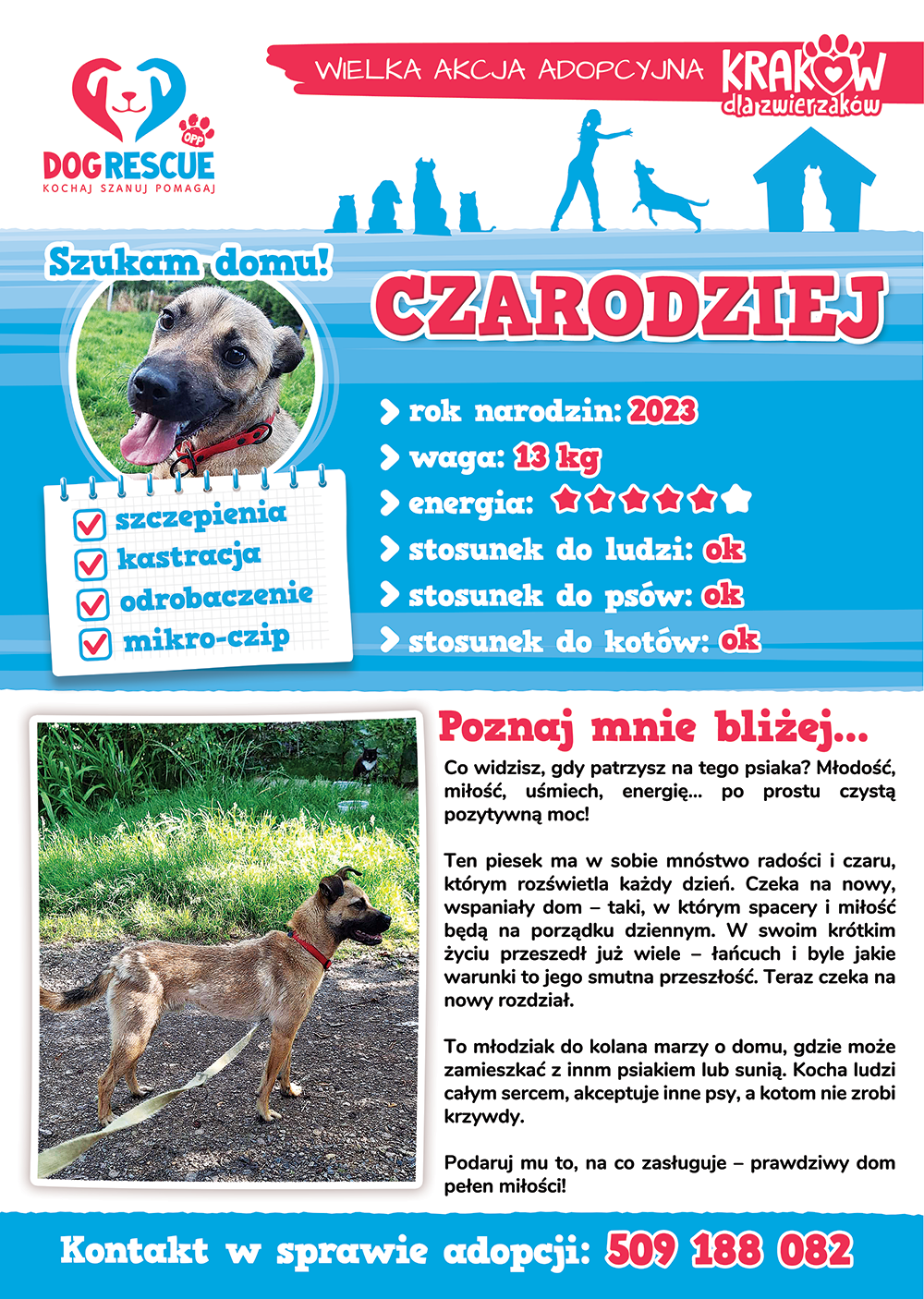 czarodziej