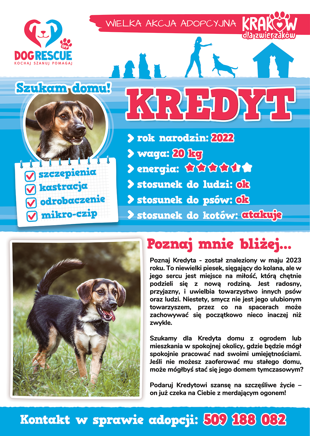 kredyt2