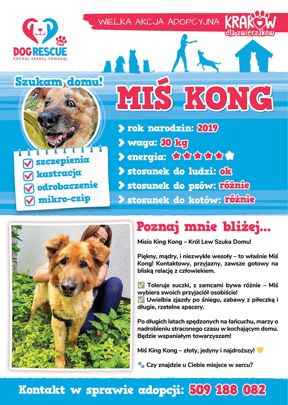 kong