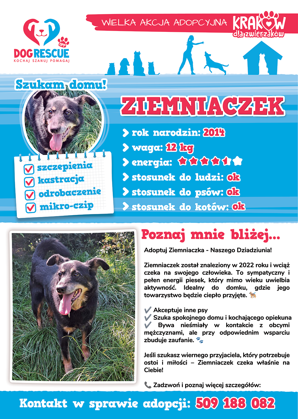 ziemniaczek2